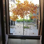 Apartman Centro *